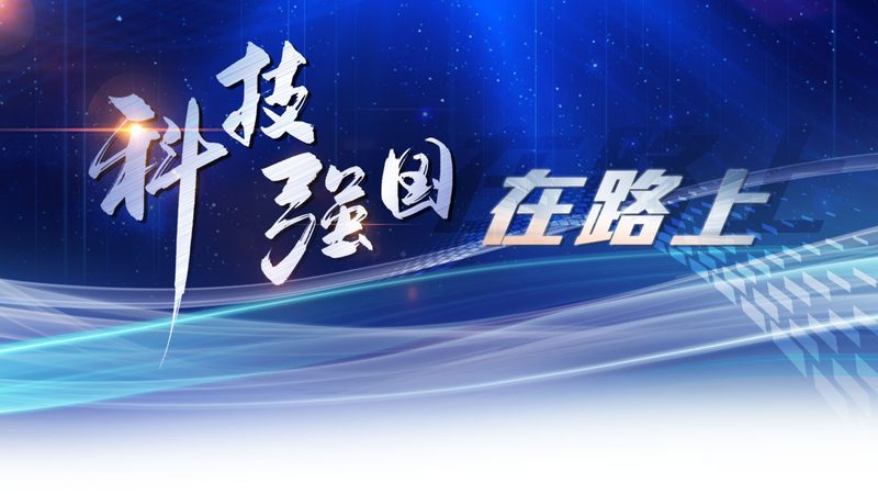 上海SaaS平台试用体验：揭秘企业数字化转型的关键一步